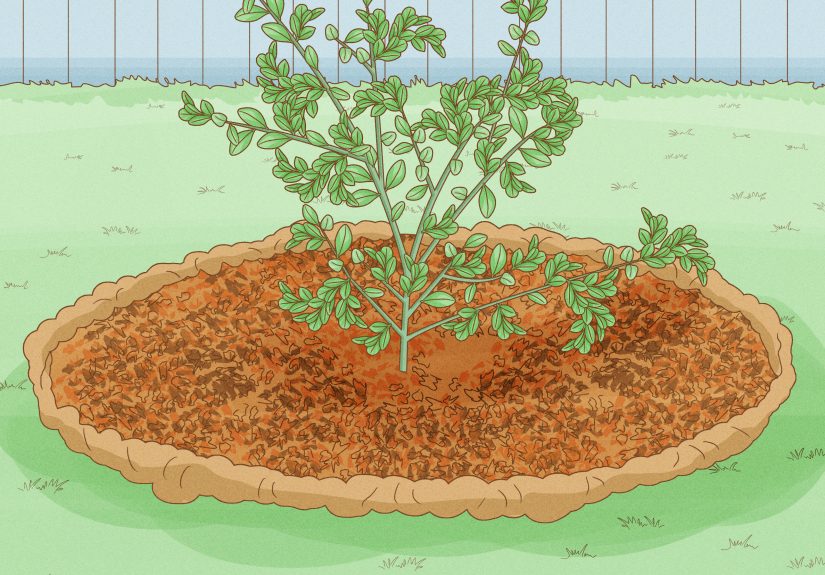 How to Make Your Own Mulch for Gardening (without a Chipper)