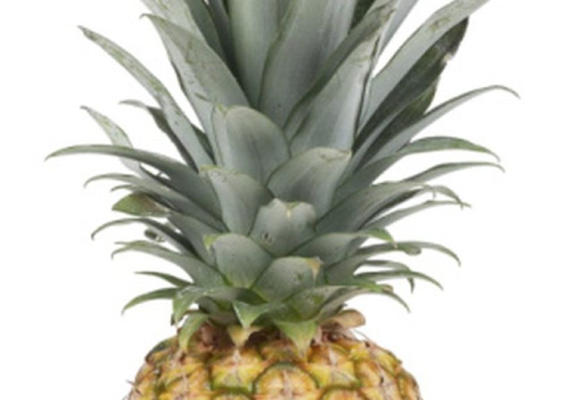 How to Use Pineapple Leaves for Handmade Papers