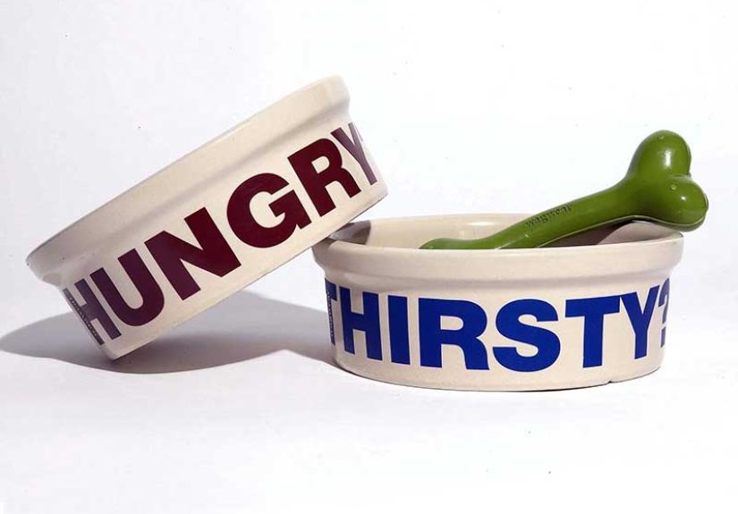 Hungry Thirsty Bowls