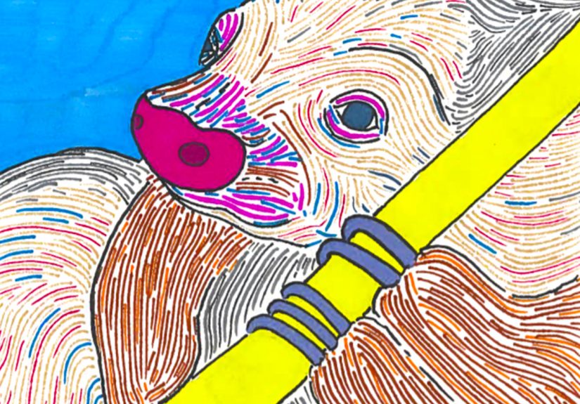 I Draw Animals And Share Them With You!