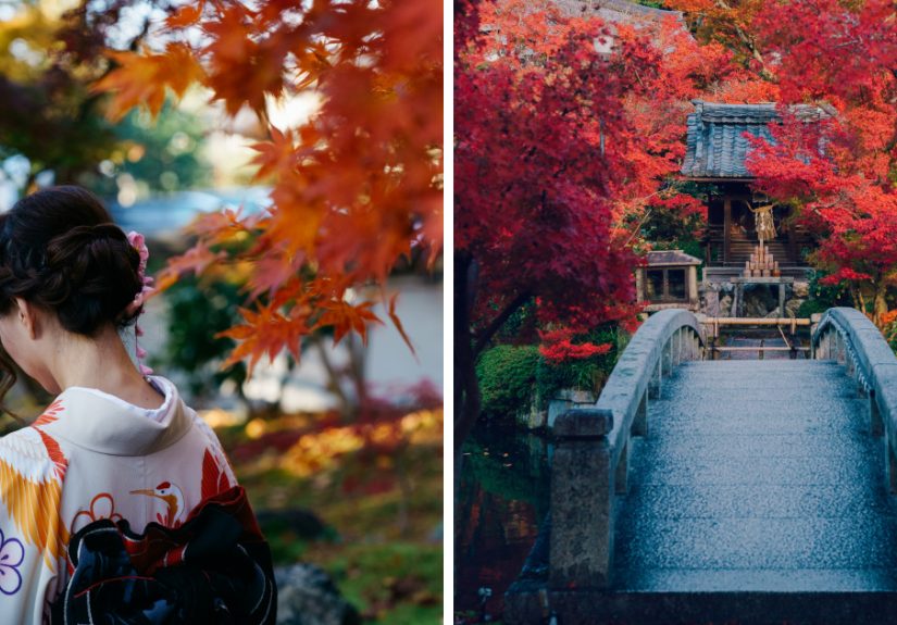 I Photograph The Amazing Autumn Colors Of Kyoto
