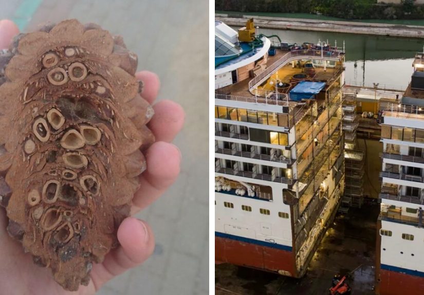 &ldquo;Inside of a Hot Air Balloon&rdquo;: 50 Cool Pictures of Things Taken Apart or Opened Up