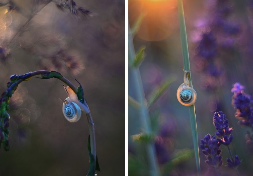Nature In Spring, Summer, And Autumn: My 35 Photos By Me