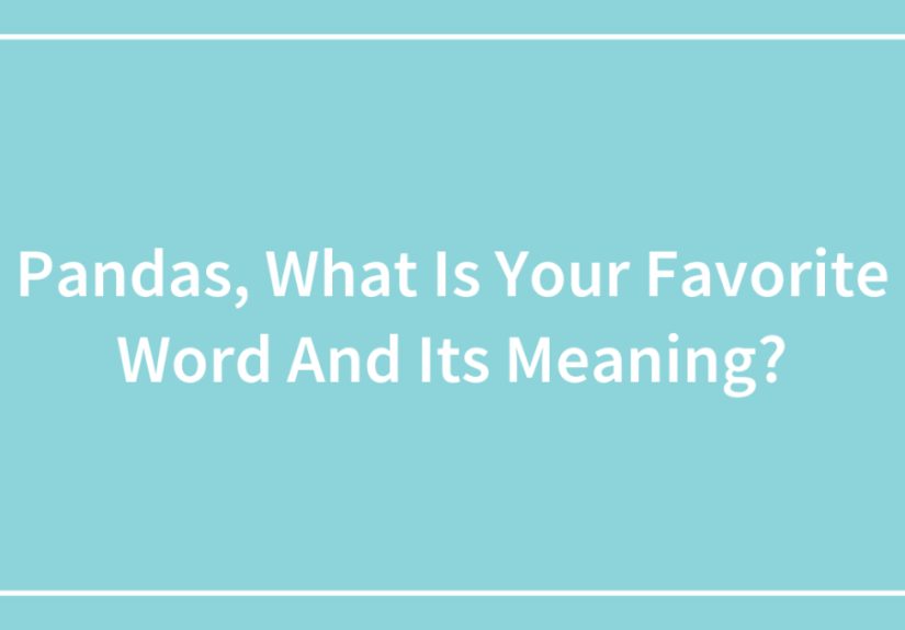 Pandas, What Is Your Favorite Word And Its Meaning?