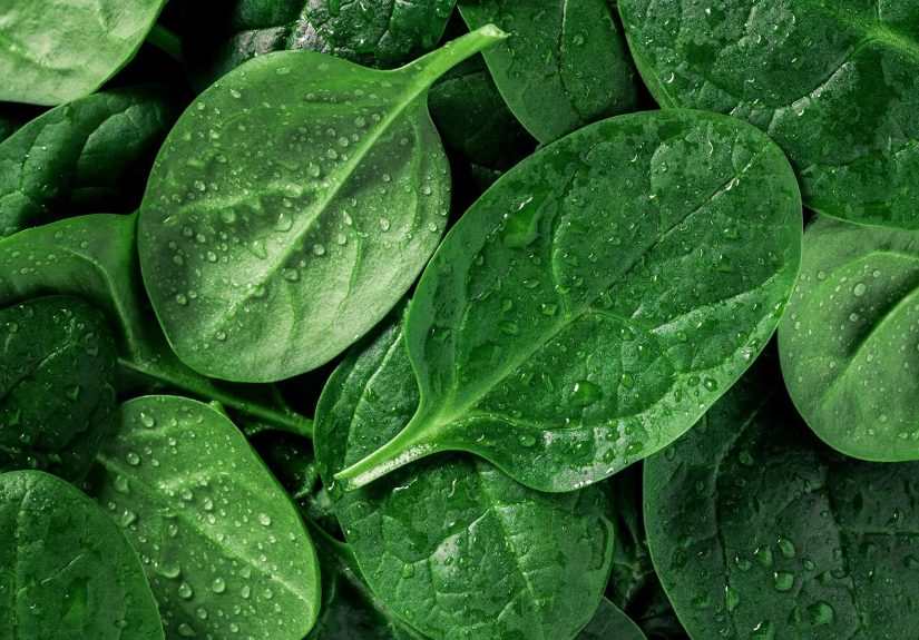 Pictures: Health Benefits of Spinach