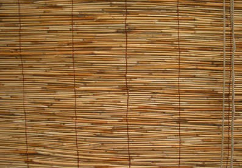 Reed Designer Bamboo roll up Blinds
