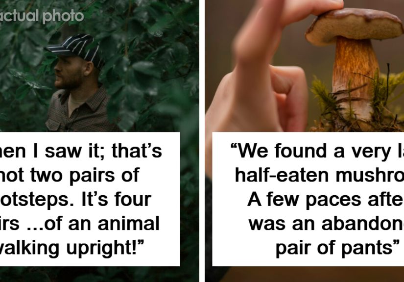 “Subject Deceased”: 35 National Park Employees And Rescue Officers Share Their Scary Job Stories