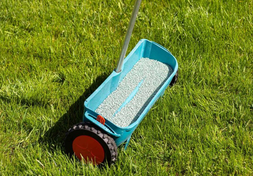 The 3 Worst Times to Fertilize Your Lawn, According to Experts