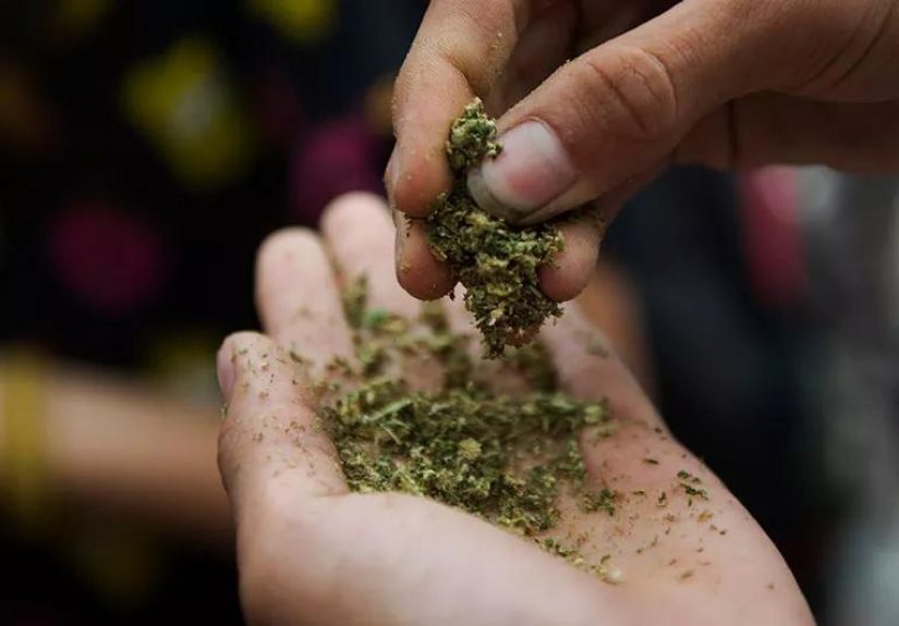 The Dangerous Impact of Synthetic Weed on the Brain