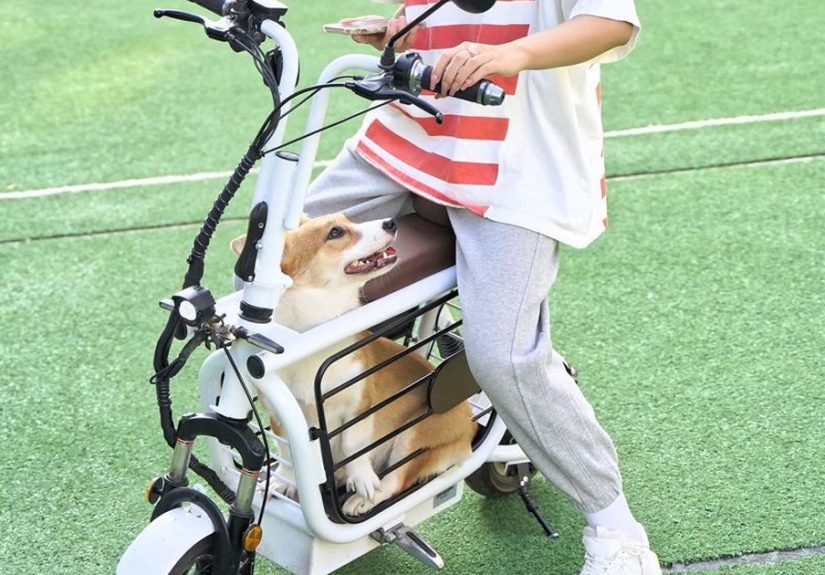 The Japanese Have Invented A Pet-Friendly E-Bike Called A Mopet, And It’s Going To Make Their Transportation Much Easier