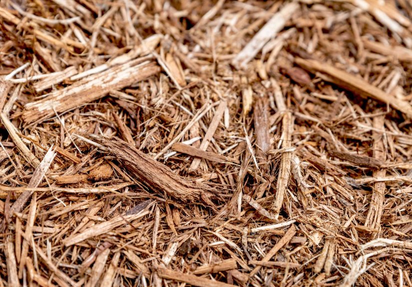 The Pros and Cons of Cypress Mulch
