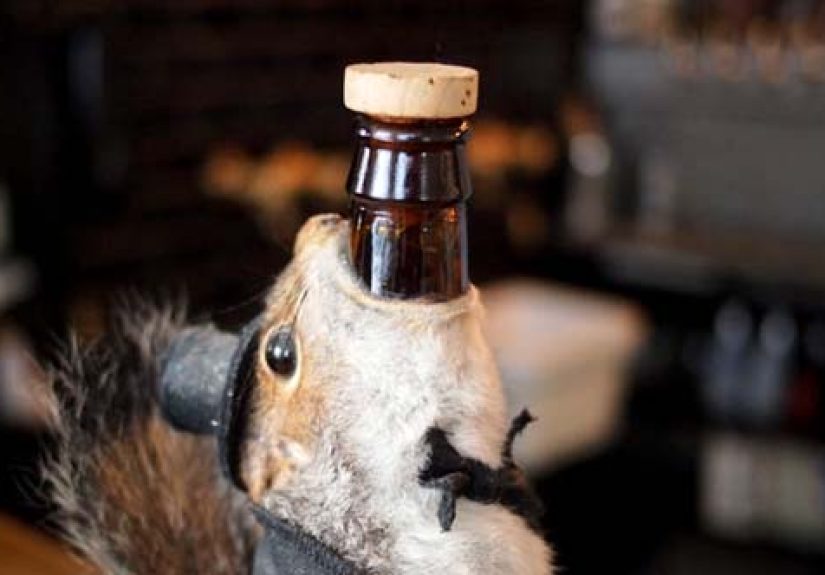 Top 10 Bizarre Alcoholic Drinks