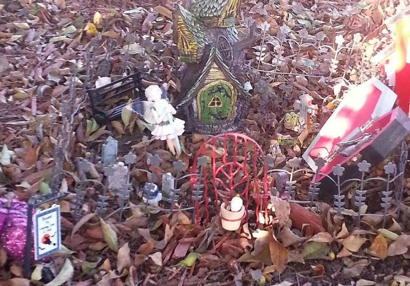 Updated Fairy Garden and Decorated for Fall.