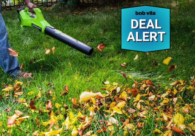 Walmart Slashed the Price on A Greenworks Blower for Labor Day