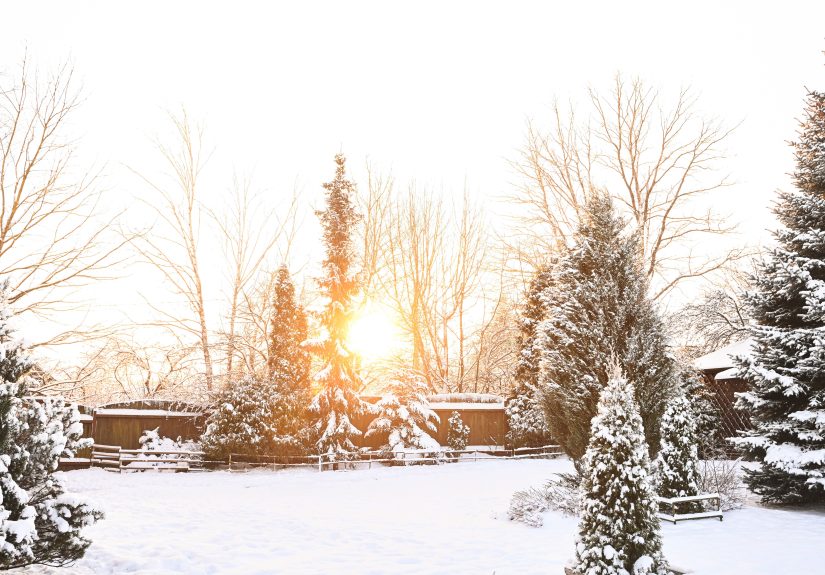 What to Do to Prepare Your Lawn for WinterStarting Now