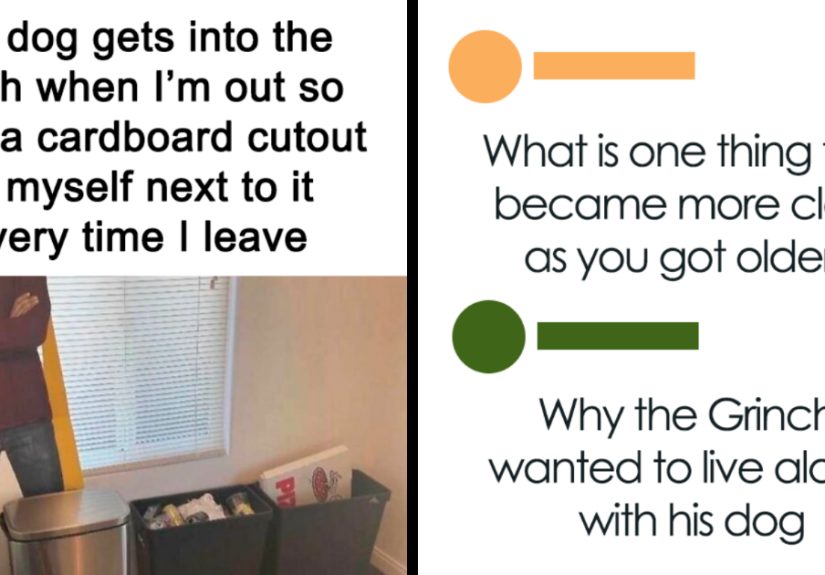 “Worry About Yourself Babygurl”: 38 Hilarious, Random Memes To Brighten A Gloomy Day