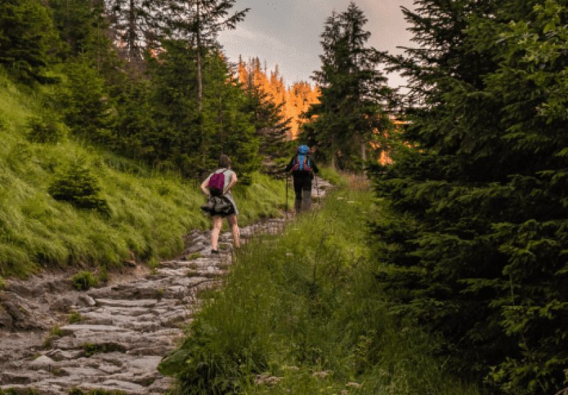 10 Best Hiking Trails in America with Breathtaking Views