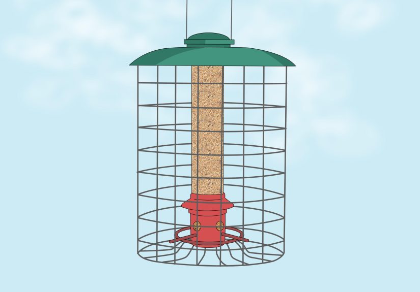 3 Ways to Deter Squirrels from Bird Feeders