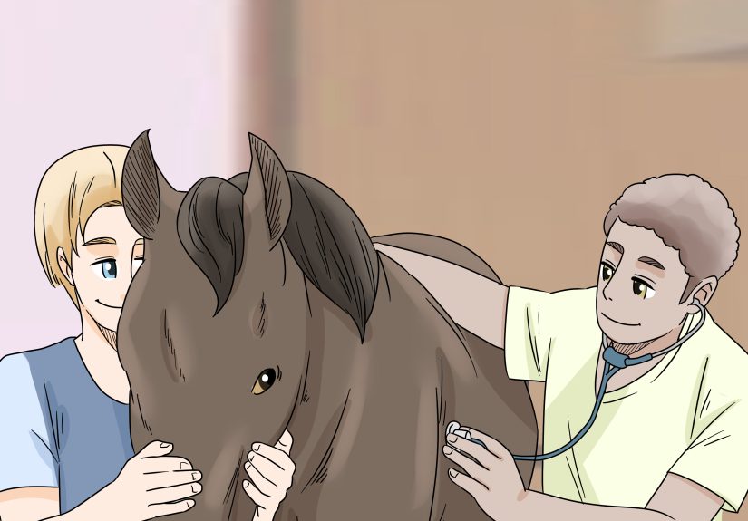 3 Ways to Treat Edema in Horses