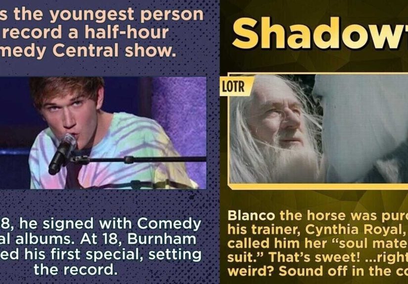 30 Random Bits of Pop-Culture Trivia We Dropped From a Bucket Onto the Outcast’s Head After She Won Prom Queen