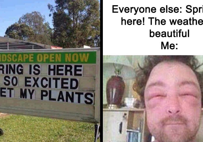 37 Funny Memes To Welcome Spring With All Its Joys And Flaws