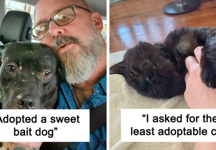 50 Adorable Pets Being Happy To Finally Be Home After Getting Adopted (November Edition)