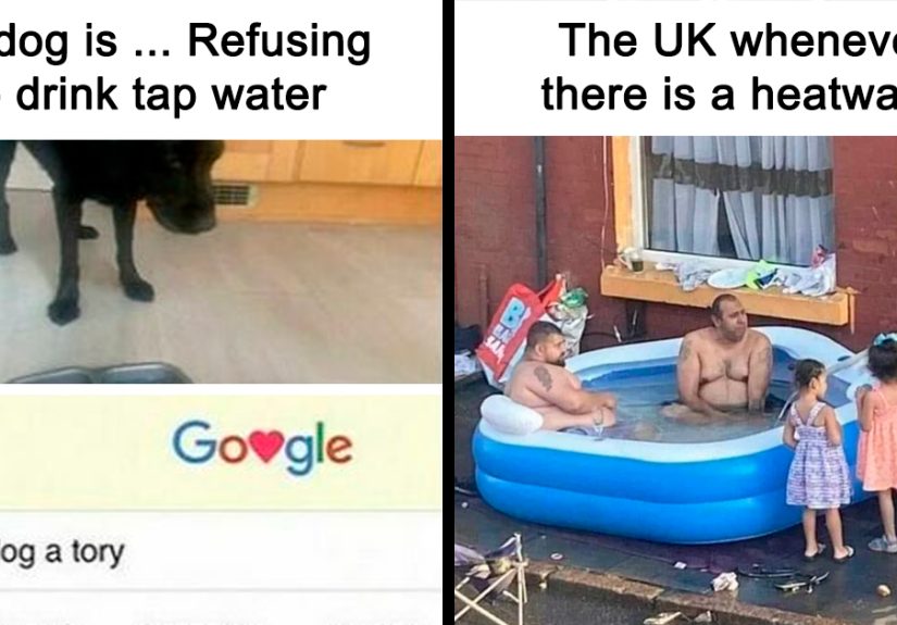 50 Unapologetically Hilarious Memes That Are So British, They’re Practically Royal-Tea