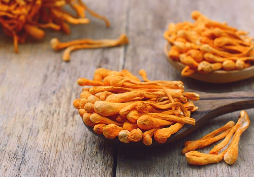 6 Benefits of Cordyceps, All Backed by Science