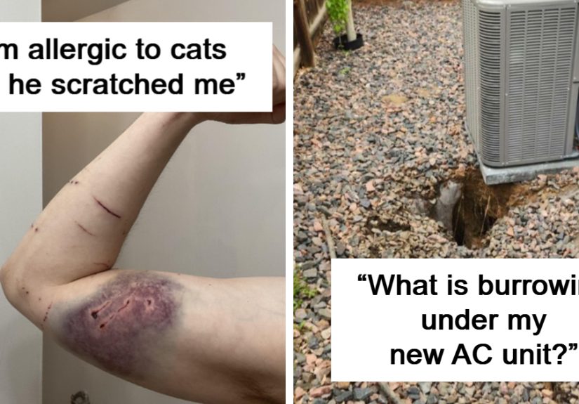 &ldquo;Anything Is Edible Once&rdquo;: 50 People Who Came Close To Death And Didn&rsquo;t Even Realize It