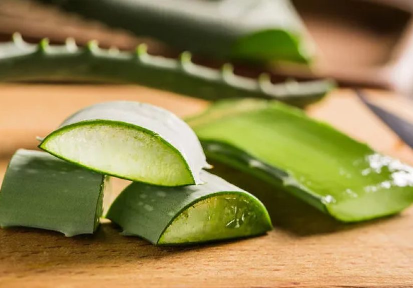 Can Aloe Vera Help With Type 2 Diabetes?