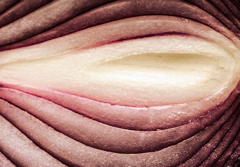 Clitoris: Location, Purpose, and More