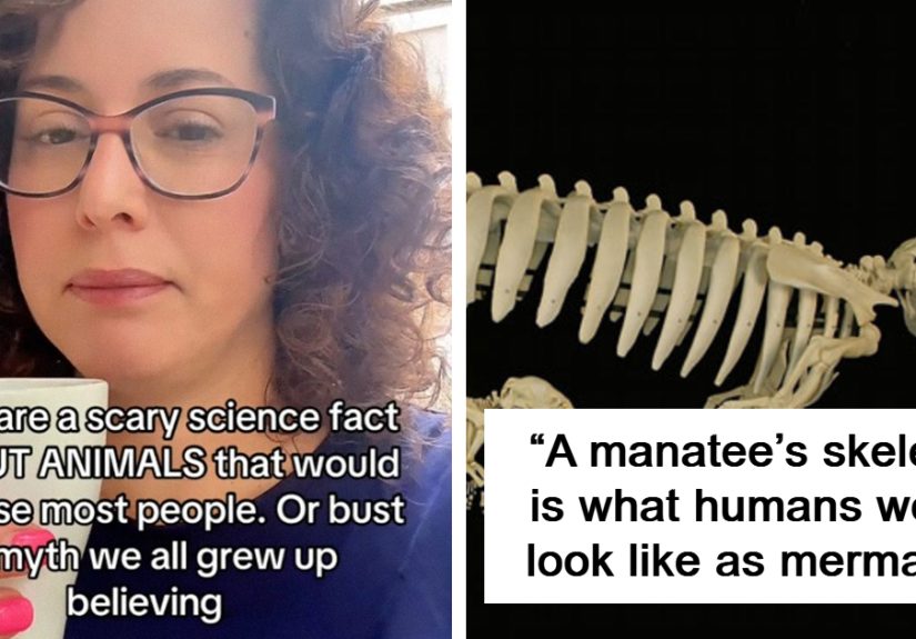 From Bees That Make Their Hives Out Of Meat, To Mystery Of Eels: 50 Strangest And Most Terrifying Animal Facts