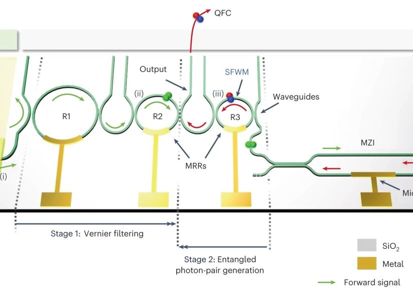 Generating Entangled Qubits And Qudits With Fully On-Chip Photonic Quantum Source