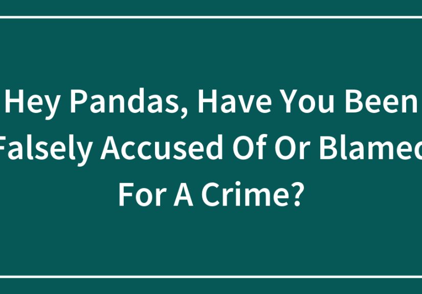 Hey Pandas, Have You Been Falsely Accused Of Or Blamed For A Crime?