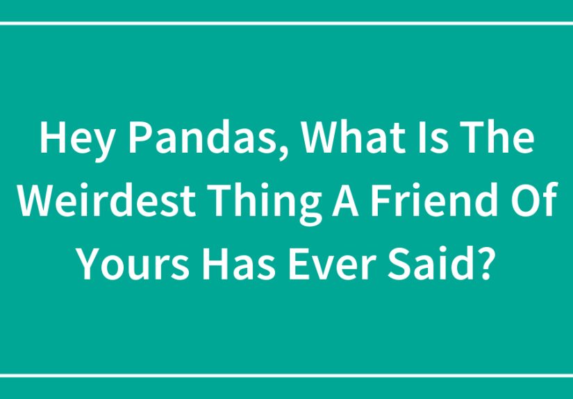 Hey Pandas, What Is The Weirdest Thing A Friend Of Yours Has Ever Said?