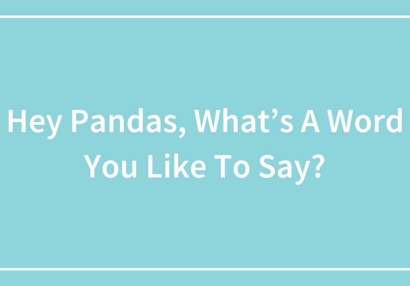 Hey Pandas, What’s A Word You Like To Say?