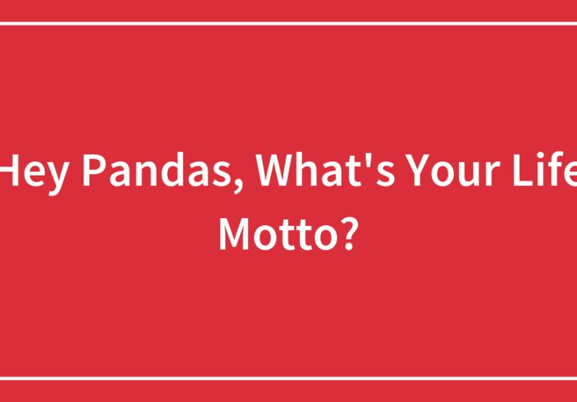 Hey Pandas, What’s Your Life Motto? (Closed)