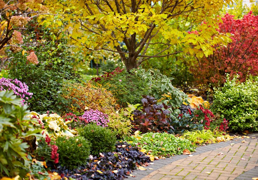 How Late Can You Plant in Fall? It Depends on This One Thing
