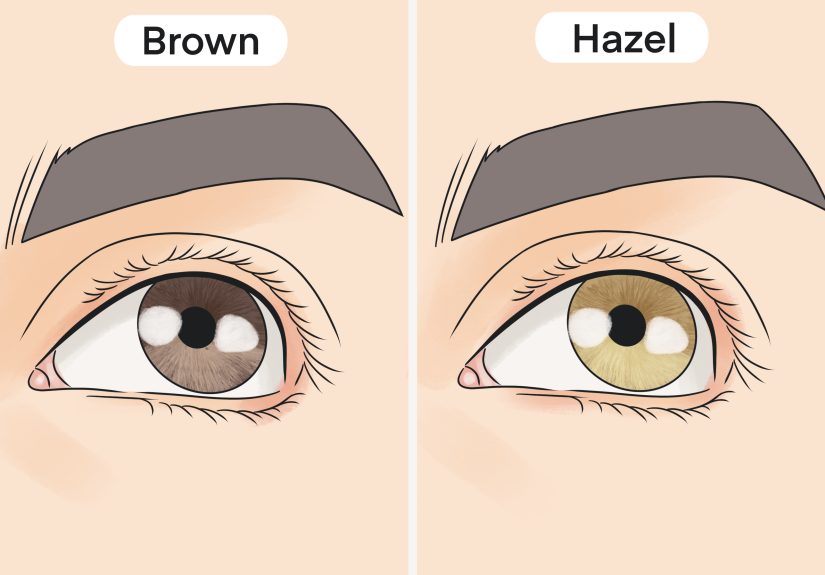 How Rare Are Hazel Eyes? Everything You Need to Know