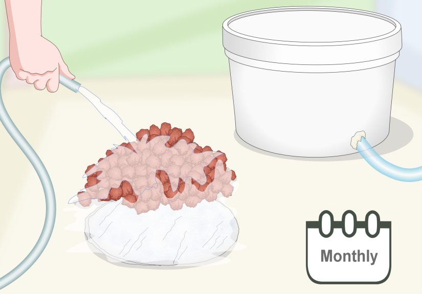 How to Build a Pond Filter System
