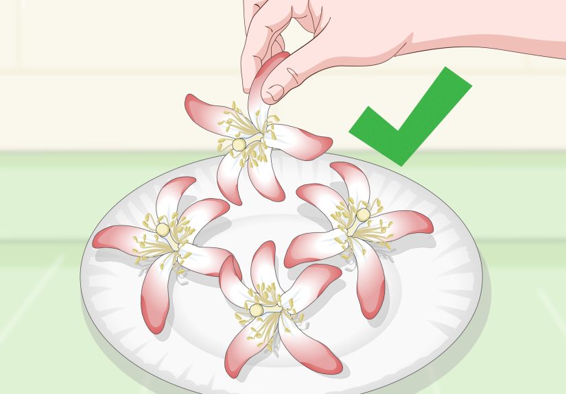 How to Dye Silk Flowers: 12 Steps