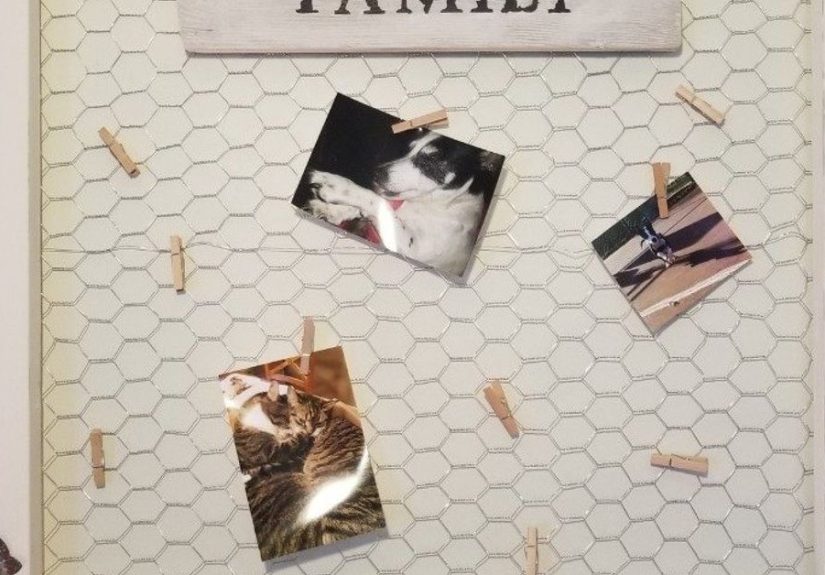 How to Make a DIY Chicken Wire Picture Frame