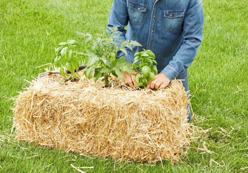 How to Make a DIY Raised Garden Bed from Old Straw Bales