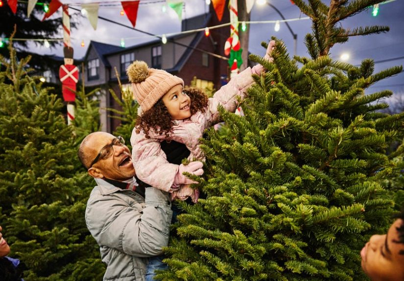 How to Make a Real Christmas Tree Last Longer