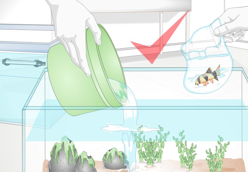 How to Mix Saltwater for an Aquarium: 13 Steps