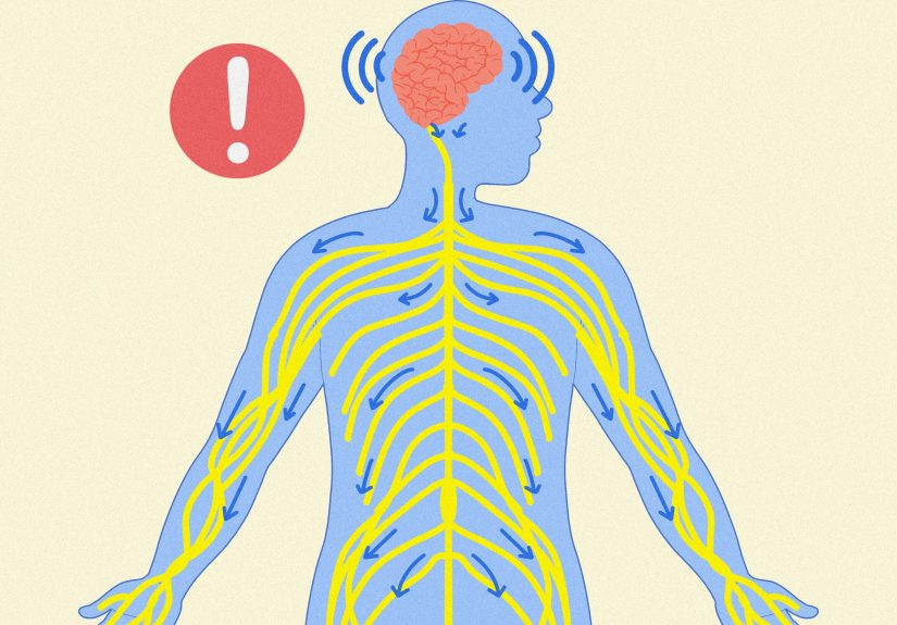 How to Regulate Your Nervous System (with Expert Advice!)
