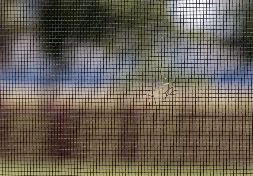 How to Repair a Window Screen With Tears and Holes