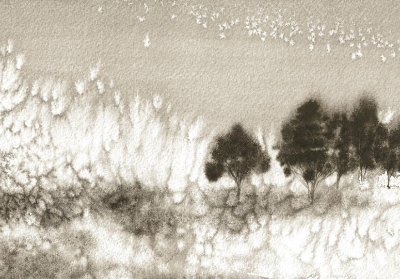I Create Paintings With Charcoal And Salt And The Result Is Whimsical (18 Pics)