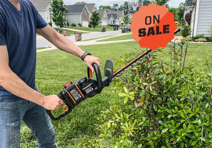 Our Editor’s Pick for Best Value Hedge Trimmer Is on Sale for Under $200 Right Now