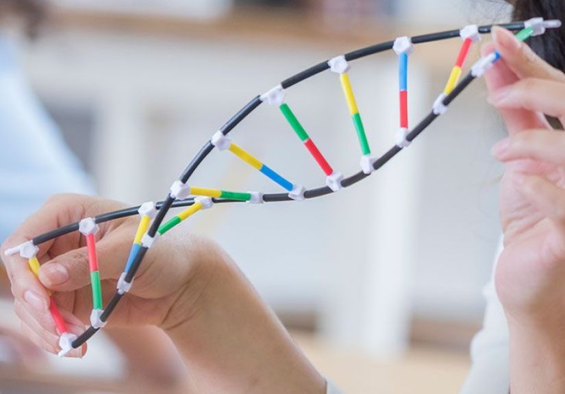 Robertsonian translocation: Definition, symptoms, and more